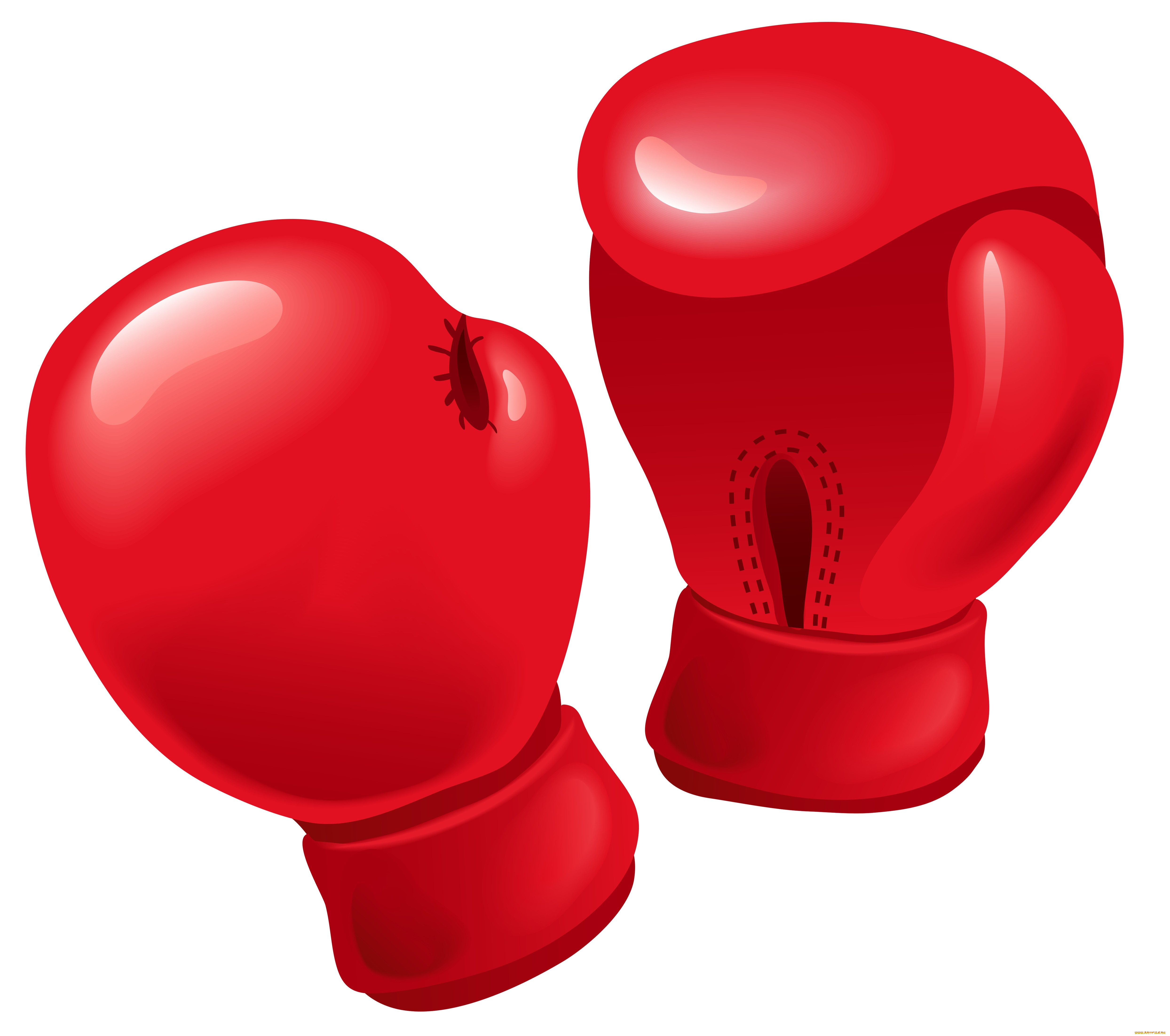 Боксерские перчатки REALSPORT бокс п-400